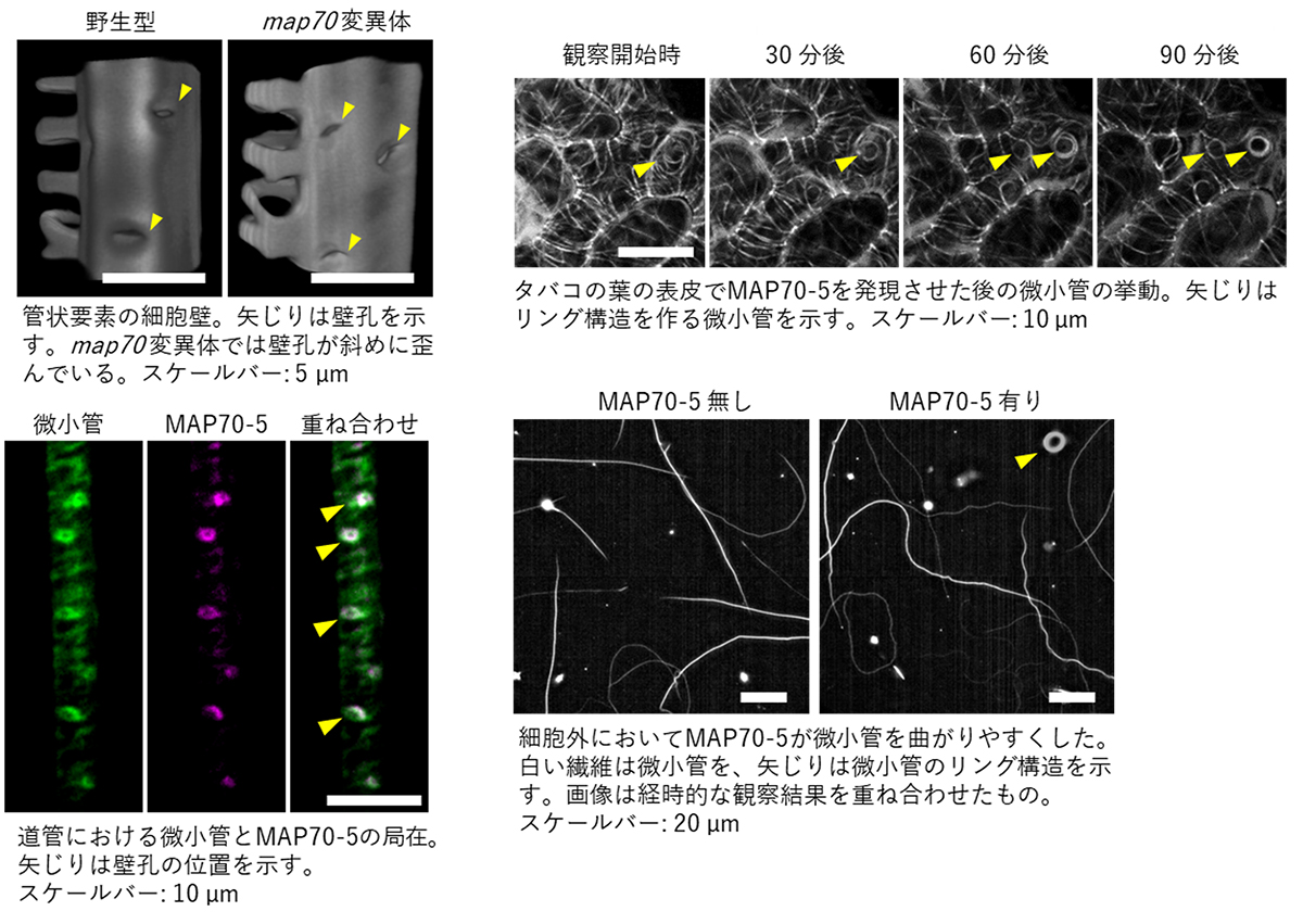 Figure1