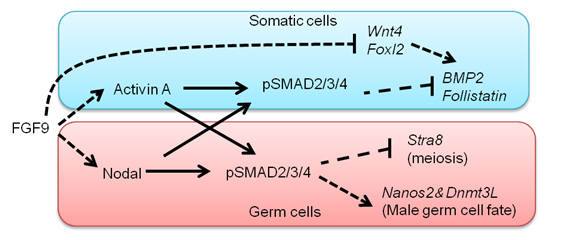 Figure1