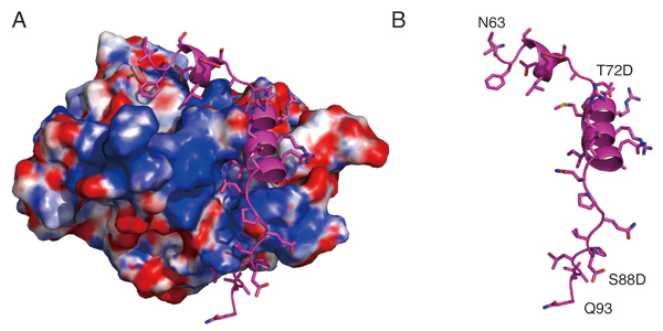 Figure1