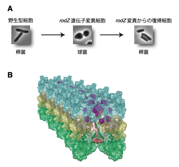 Figure1