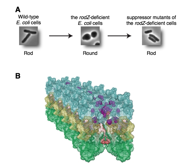 Figure1