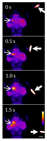 Figure1