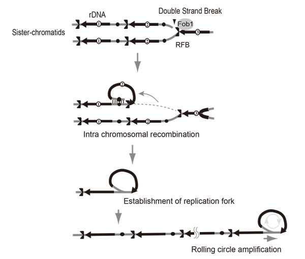 Figure1