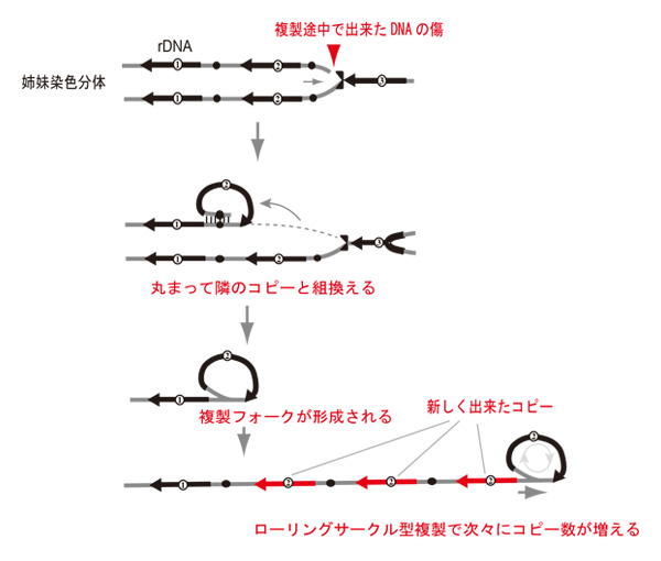 Figure1