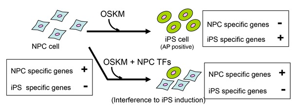 Figure1