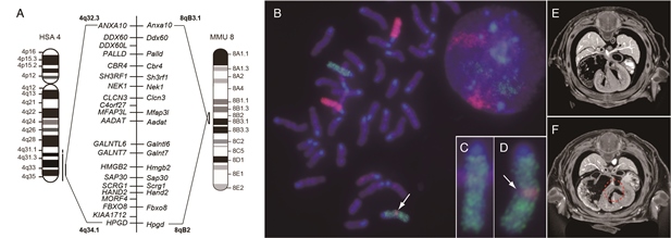 Figure1