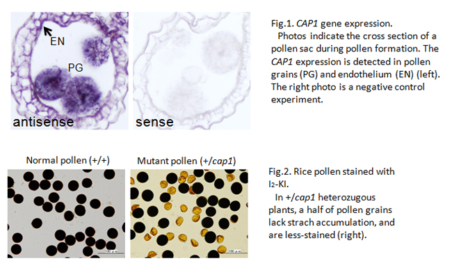 Figure1