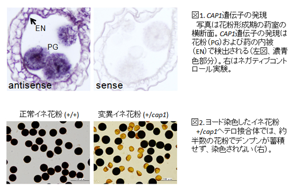 Figure1