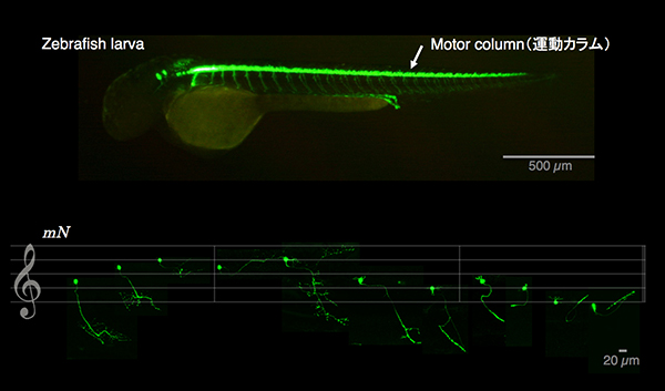 Figure1