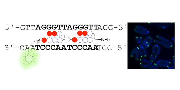 Figure1