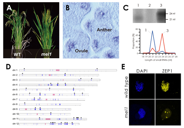 Figure1