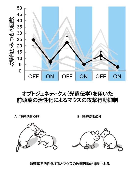 Figure1