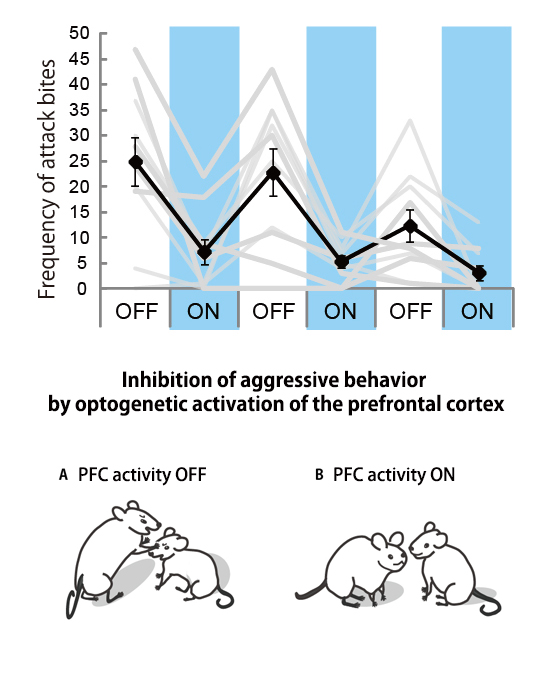 Figure1