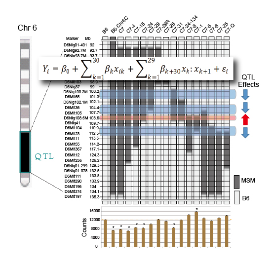 Figure1