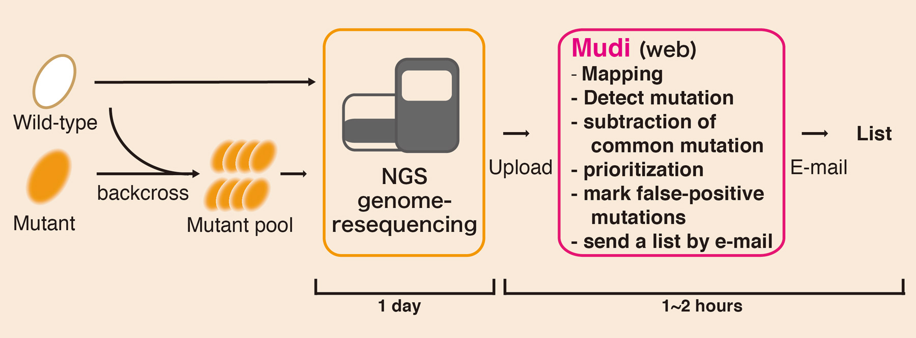 Figure1