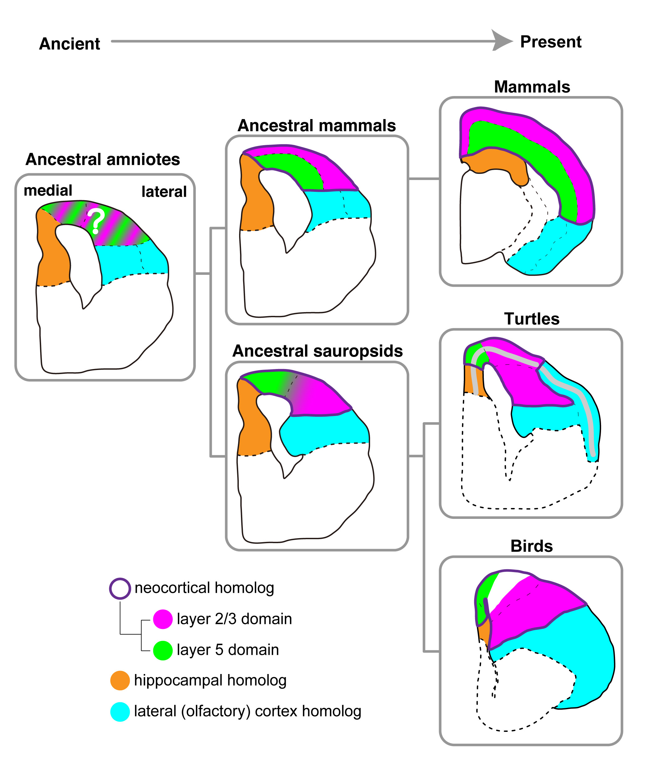 Figure1