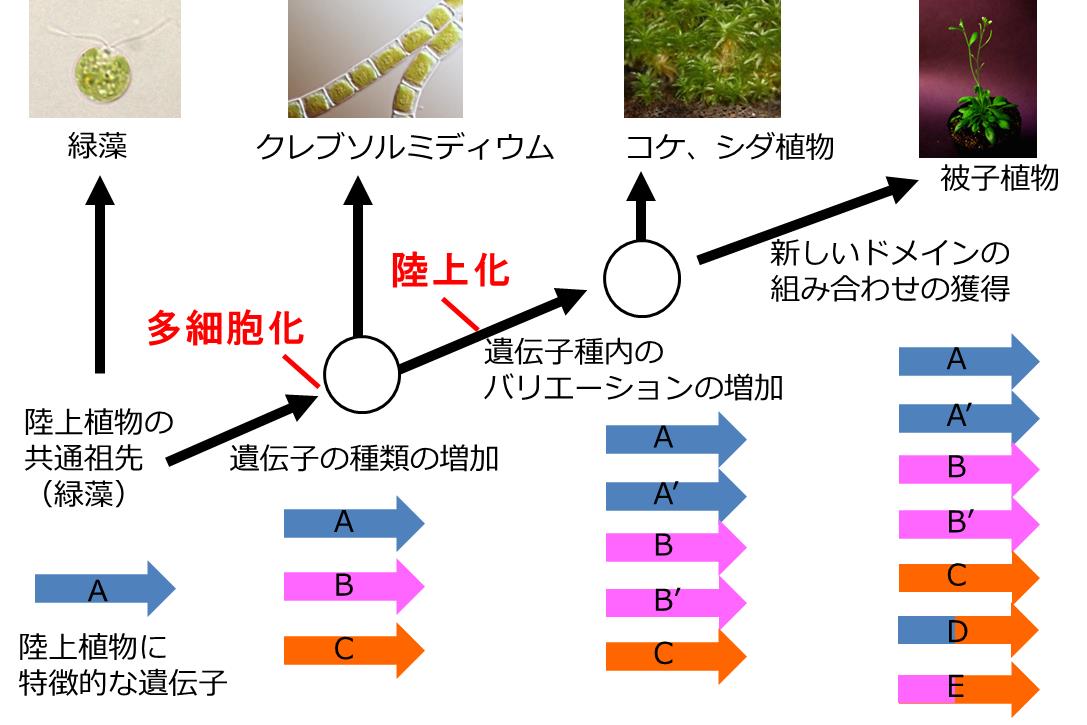 国立遺伝学研究所