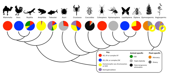 Figure1