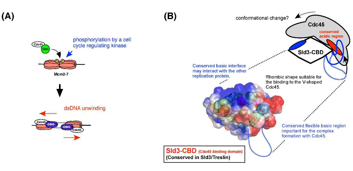 Figure1