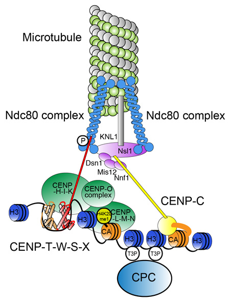 Figure1