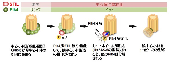 Figure1