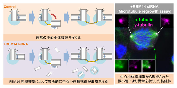 Figure1