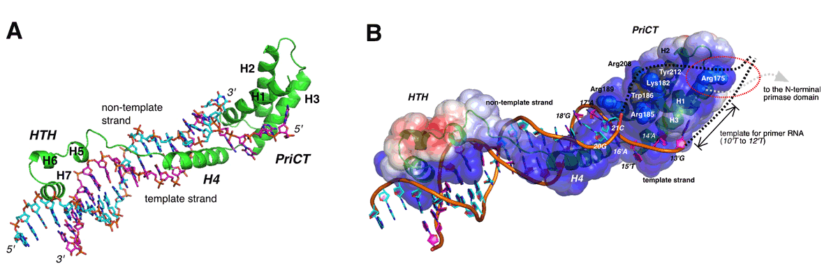 Figure1