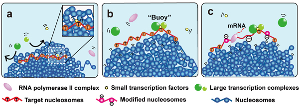 Figure1