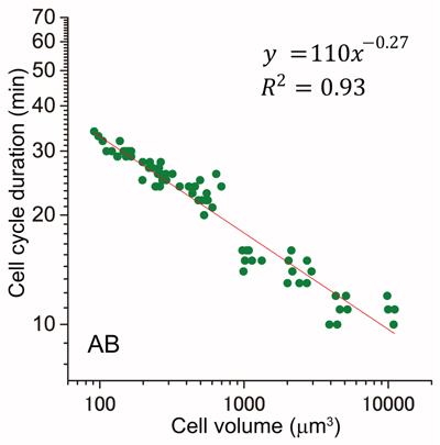 Figure1