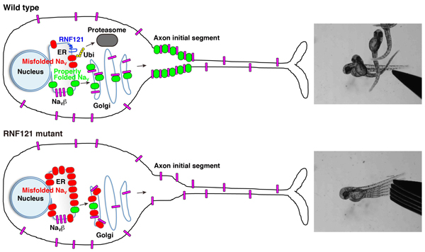 Figure1