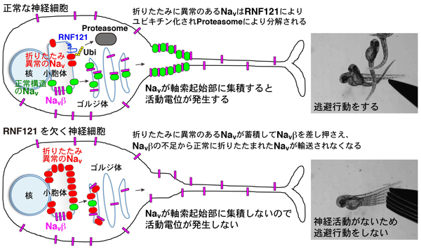 Figure1