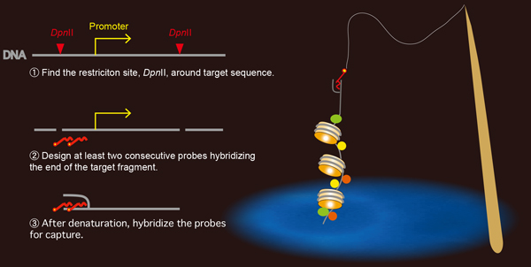 Figure1