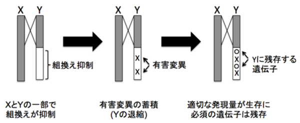 Figure1