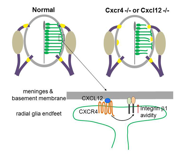 Figure1