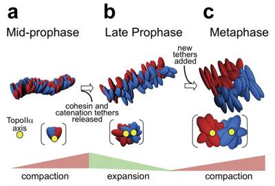 Figure1