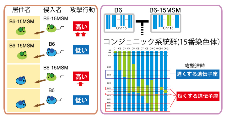 Figure1