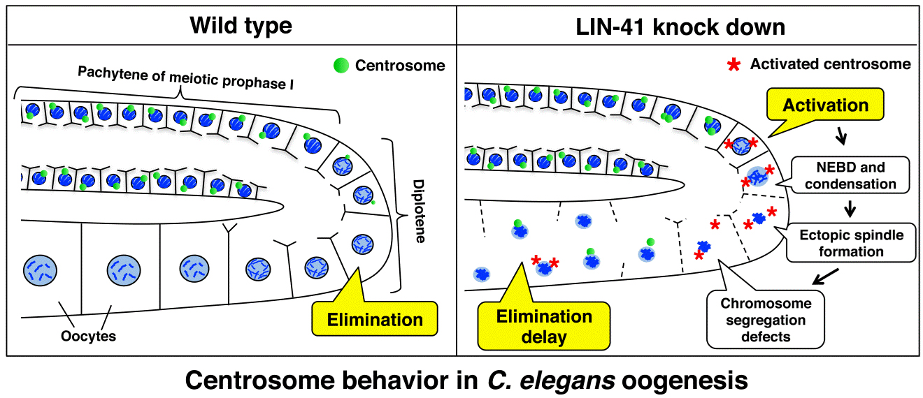 Figure1