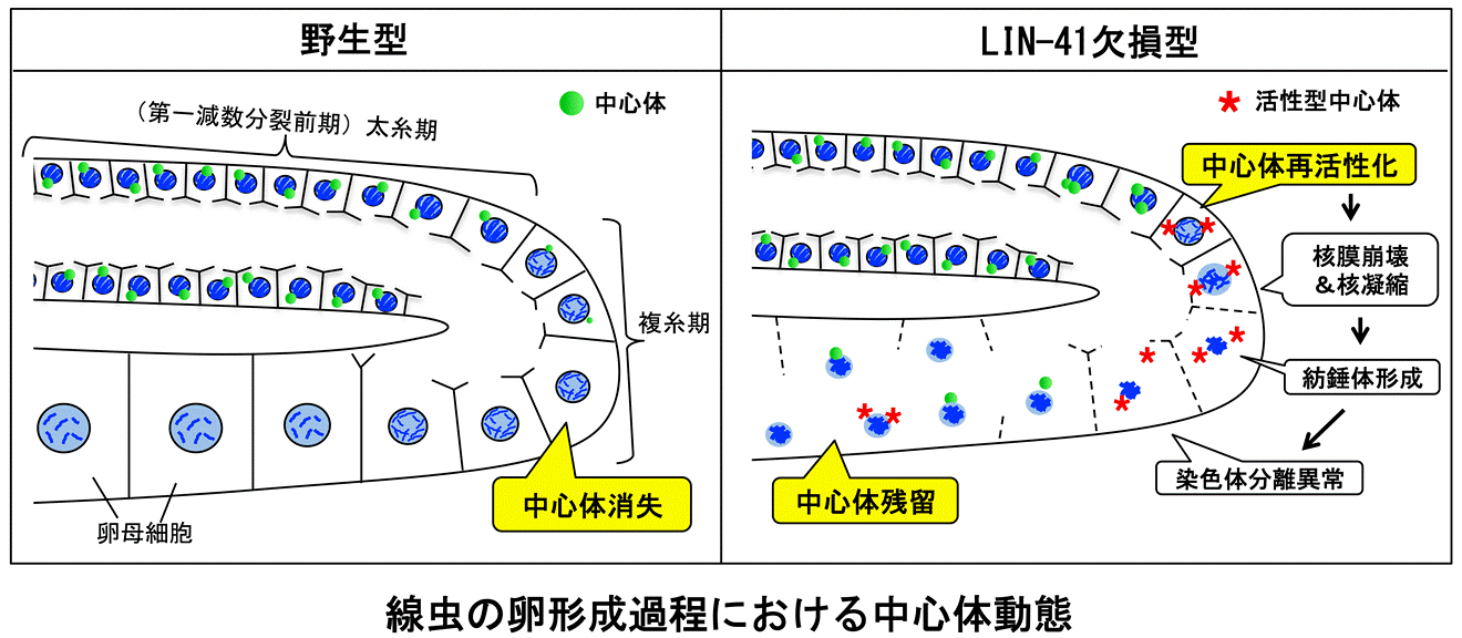 Figure1