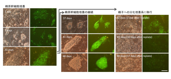 Figure1