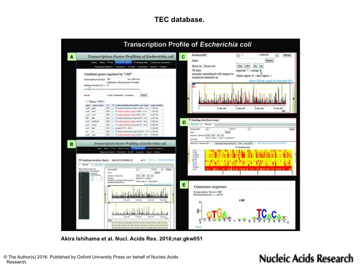 Figure1