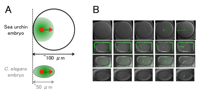 Figure1