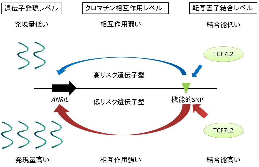 Figure1