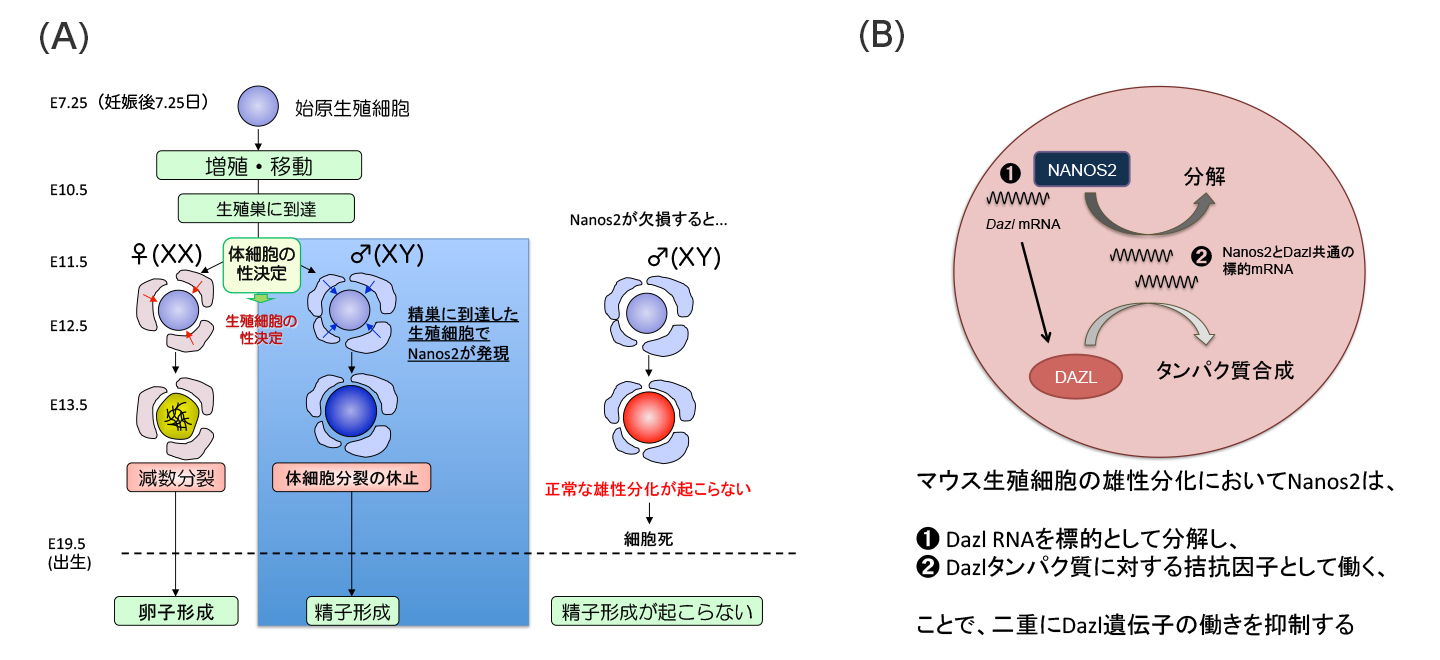 Figure1