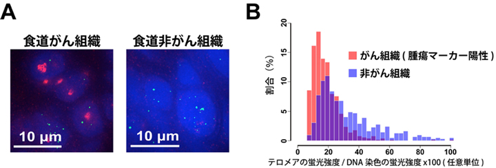 Figure1