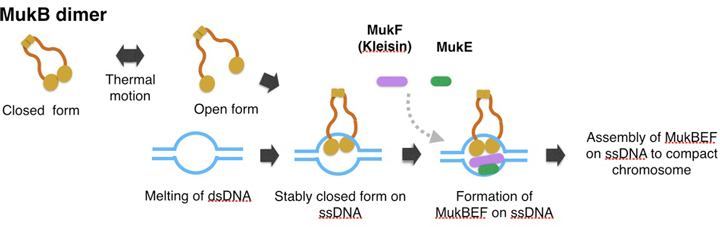 Figure1