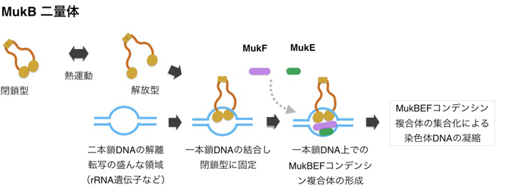 Figure1