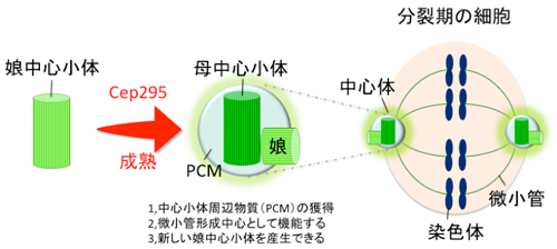 Figure1