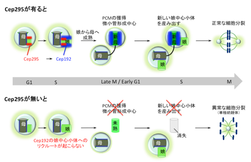 Figure1