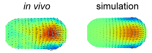 Figure1