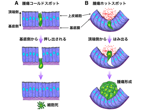 Figure1